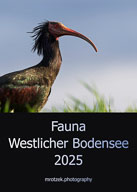 2025 Fauna Westlicher Bodensee
