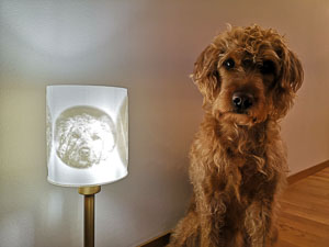 Lampenschirm mit Ihren Fotos