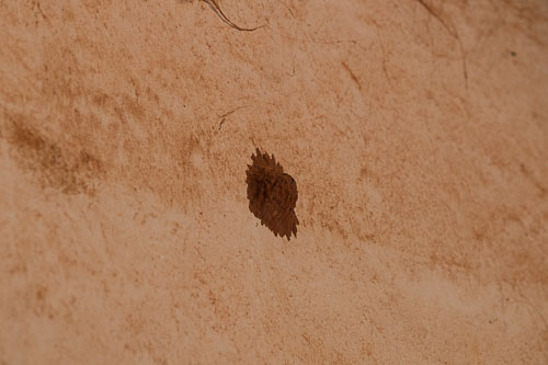 2022-07-03_11-06-50_D060876.jpg 2022-07-03_11-06-50_D060876.jpg