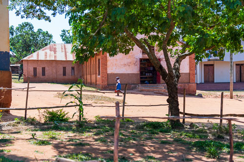 2022-07-03_11-25-40_D060885.jpg 2022-07-03_11-25-40_D060885.jpg