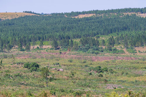 Ikondo Dispensary 2022-07-03_14-21-33_D060897.jpg