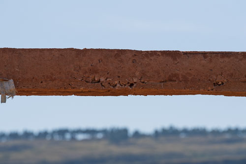 Ikondo Dispensary 2022-07-03_14-32-10_D060900.jpg