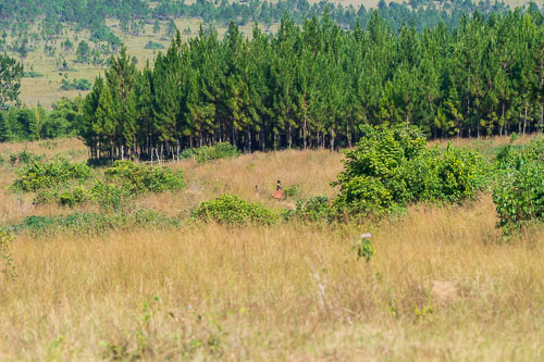 Ikondo Dispensary 2022-07-03_15-13-05_D060906.jpg