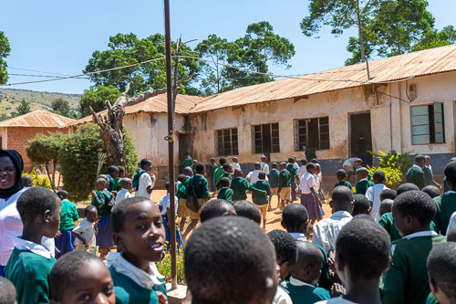 2022-07-04_11-56-35_HMR9184.jpg 2022-07-04_11-56-35_HMR9184.jpg