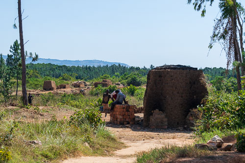 2022-07-05_10-09-51_D061191.jpg 2022-07-05_10-09-51_D061191.jpg