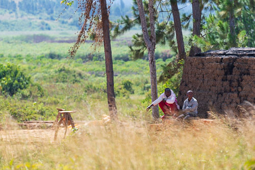 2022-07-05_10-16-53_D061202.jpg 2022-07-05_10-16-53_D061202.jpg