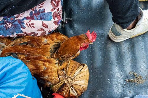 Die Geschenke auf dem Weg zurück nach Kamishango 2023-10-22_12-30-18__Z725924.jpg