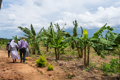 Selbstversorger 2023-10-23_11-11-49__Z726045.jpg