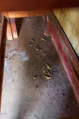 Es fehtl an allem; das Gelände ist nicht verschlossen und viele Dinge sind 'verschwunden'. 2023-11-04_15-38-22__Z727171.jpg