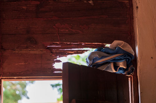 Termiten zerstören Wände und gefährden die Statik der Dachkonstruktion. 2023-11-04_15-40-55__D063425.jpg