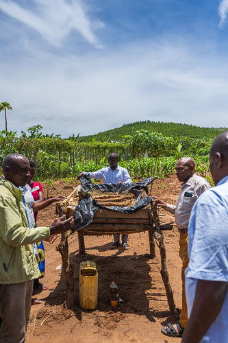Ertragssteigerung durch selbst erzeugten Dünger 2023-10-18_11-47-31__Z725281-Verbessert-RR.jpg
