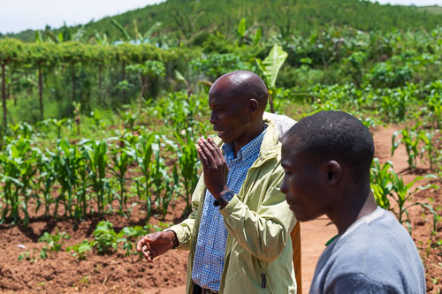 Ertragssteigerung durch selbst erzeugten Dünger 2023-10-18_11-50-07__D062139.jpg