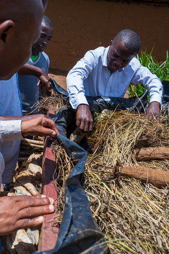 Ertragssteigerung durch selbst erzeugten Dünger 2023-10-18_11-56-23__Z725292.jpg
