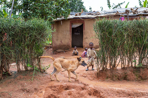 2023-10-19_11-08-53__Z725499-Verbessert-RR.jpg 2023-10-19_11-08-53__Z725499-Verbessert-RR.jpg