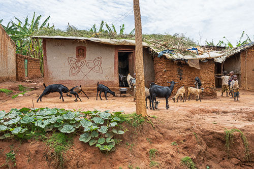 2023-10-19_11-11-44__Z725501-Verbessert-RR.jpg 2023-10-19_11-11-44__Z725501-Verbessert-RR.jpg