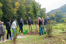 2021-10-08 LGA Friedenslinde